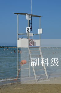 副科级司法所长参与分工吗 副科级司法所长参与分工吗