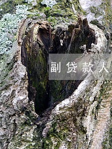 副贷款人逾期次数多有影响吗 副贷款人逾期次数多有影响吗
