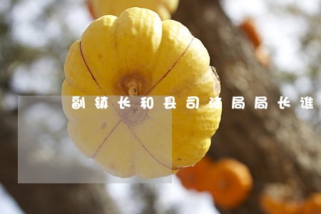副镇长和县司法局局长谁大 副镇长和县司法局局长谁大
