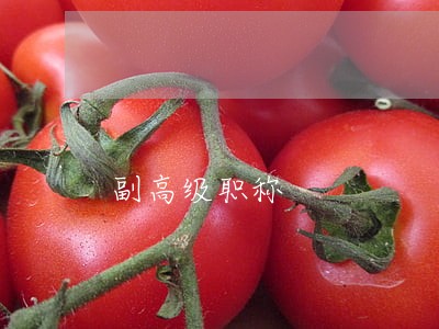 副高级职称 副高级职称