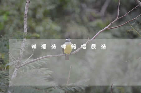 劝酒法律赔偿民法 劝酒法律赔偿民法