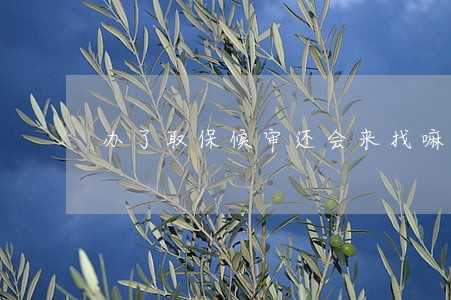 办了取保候审还会来找嘛 办了取保候审还会来找嘛