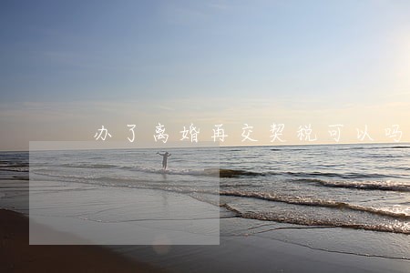 办了离婚再交契税可以吗 办了离婚再交契税可以吗
