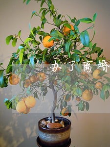 办了离婚手续要房产证吗 办了离婚手续要房产证吗