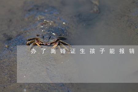 办了离婚证生孩子能报销吗 办了离婚证生孩子能报销吗