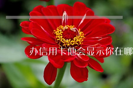 办信用卡他会显示你在哪有逾期嘛 办信用卡他会显示你在哪有逾期嘛