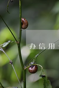 办信用卡当前逾期是什么意思 办信用卡当前逾期是什么意思