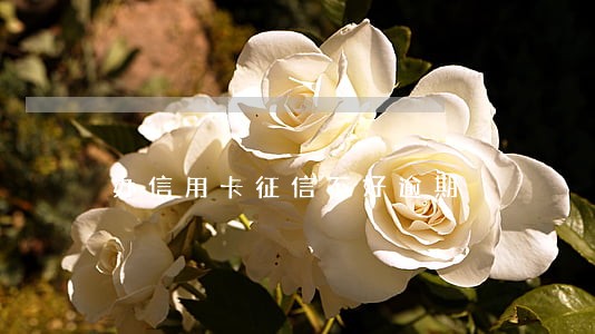 办信用卡征信不好逾期