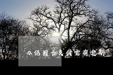 办信用卡支付宝有逾期 办信用卡支付宝有逾期