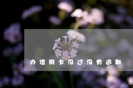 办信用卡没过没有逾期 办信用卡没过没有逾期