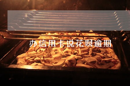 办信用卡说花呗逾期