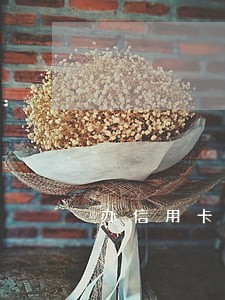 办信用卡逾期周一通知村委