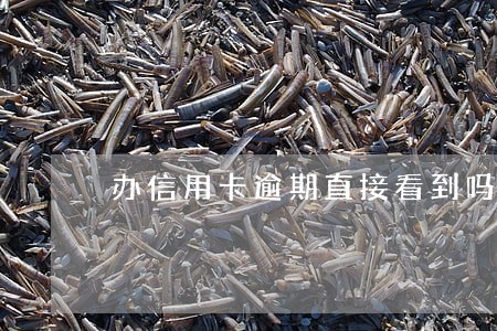 办信用卡逾期直接看到吗