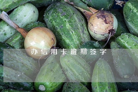 办信用卡逾期签字