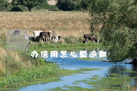 办信用怎么算逾期 办信用怎么算逾期