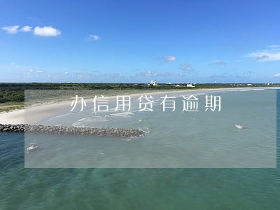 办信用贷有逾期 办信用贷有逾期