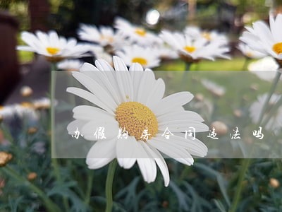 办假购房合同违法吗 办假购房合同违法吗