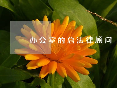 办公室的总法律顾问 办公室的总法律顾问