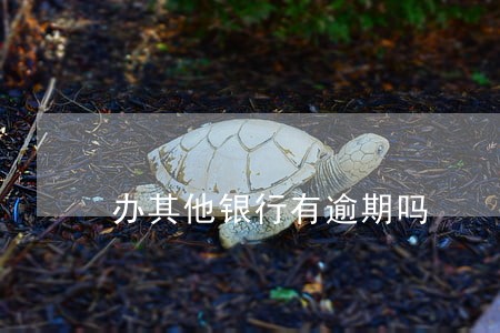办其他银行有逾期吗 办其他银行有逾期吗