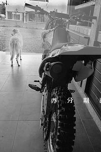 办分期逾期信用卡多久才能办下来