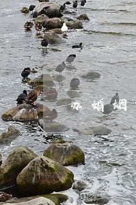 办婚姻家庭律师找谁好 办婚姻家庭律师找谁好