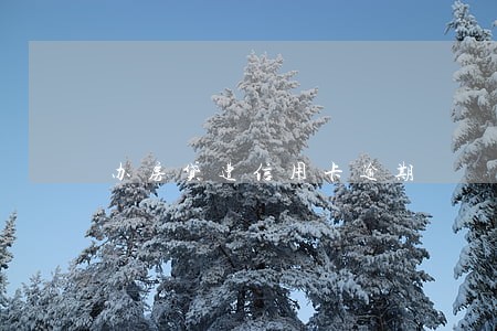 办房贷遭信用卡逾期 办房贷遭信用卡逾期