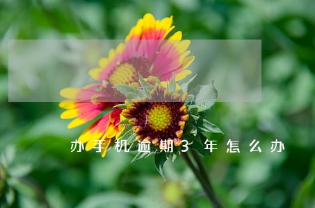 办手机逾期3年怎么办