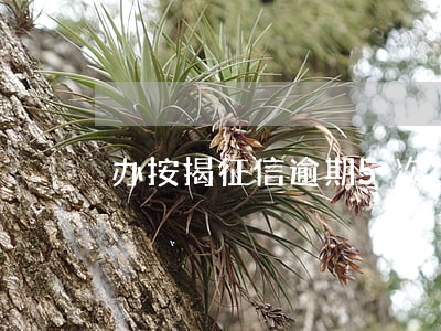 办按揭征信逾期5次小金额 办按揭征信逾期5次小金额