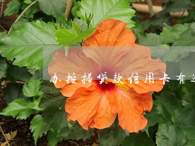 办按揭贷款信用卡有逾期