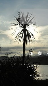 办案不掉队 办案不掉队