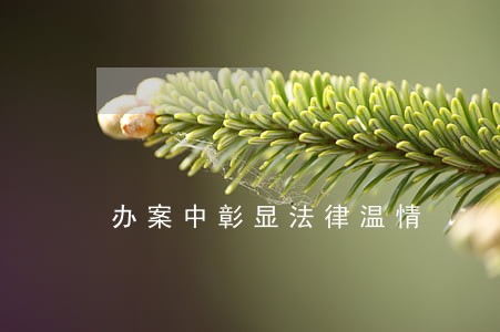 办案中彰显法律温情 办案中彰显法律温情