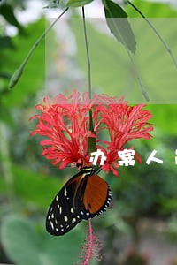 办案人员是指