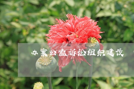 办案公益诉讼组织建设 办案公益诉讼组织建设
