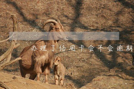 办理了信用卡会不会逾期 办理了信用卡会不会逾期