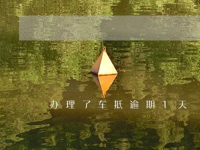 办理了车抵逾期1天 办理了车抵逾期1天