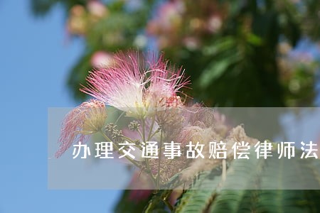 办理交通事故赔偿律师法律专线 办理交通事故赔偿律师法律专线