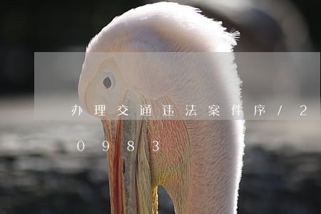 办理交通违法案件序/2023020190983