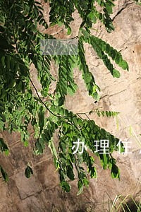 办理住房公积金时有网贷逾期 办理住房公积金时有网贷逾期