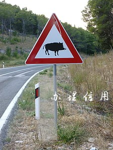 办理信用卡同时有一张卡逾期