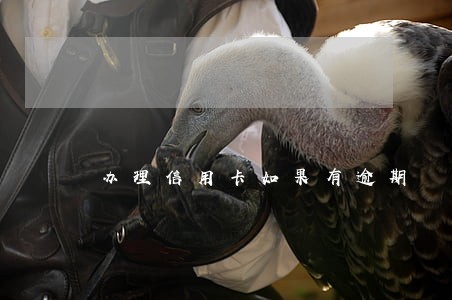 办理信用卡如果有逾期