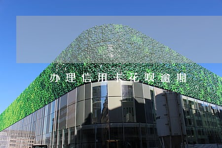 办理信用卡花呗逾期 办理信用卡花呗逾期