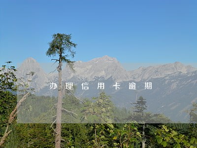 办理信用卡逾期 办理信用卡逾期
