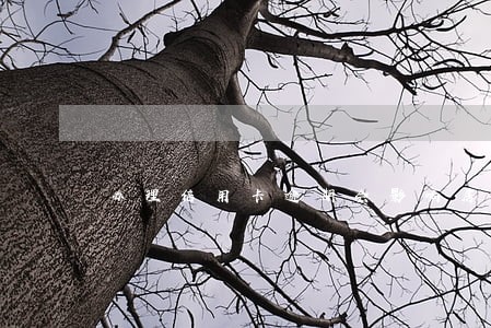 办理信用卡逾期会影响房贷吗