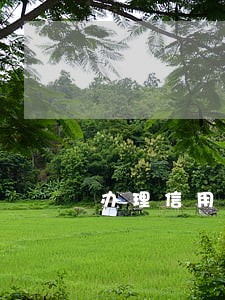 办理信用卡逾期未还 办理信用卡逾期未还