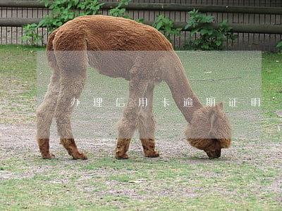 办理信用卡逾期证明 办理信用卡逾期证明