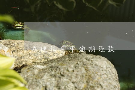 办理信用卡逾期还款 办理信用卡逾期还款