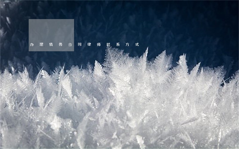 办理债务合同律师联系方式 办理债务合同律师联系方式