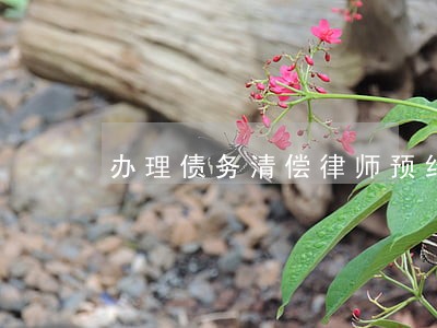 办理债务清偿律师预约面谈 办理债务清偿律师预约面谈