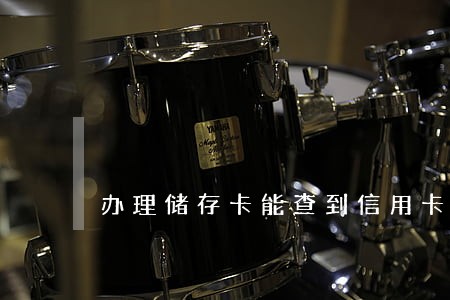 办理储存卡能查到信用卡逾期吗