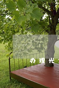 办理光大银行信用卡有逾期 办理光大银行信用卡有逾期
